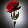 user3795040380724
