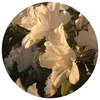t4blo_a21