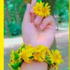md.shahanur.islam31