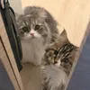 ぬく to むた