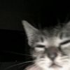 manusia_hidup6666