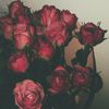 jimena_flores44
