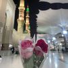 imtiazali1286