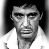 alpacino.26