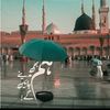 maliknazirahmed28