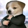 thedon7poyo