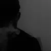 z2n_08