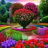 md.habibur4732