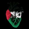 youssef.m832