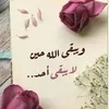 user3835552812488