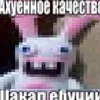 nexonexo1