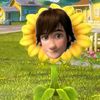 kathe_944