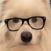 unidentified.spec4
