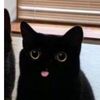 fluffybaby_02