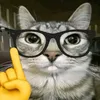 raul_feijao