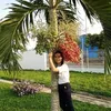 phan.ong4