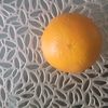dama21190