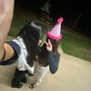 elise..privv