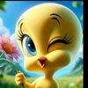 hreem.aslam