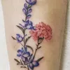 anna313829