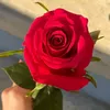 mat.hasi