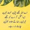 ray.ali88