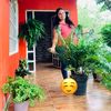 mi.jardn35