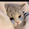 anuwat12y