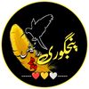 ༼ پنجگوری Writes༽