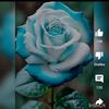 muhammad.raza8370