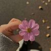 nur.mohammad064