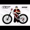 falloubike0