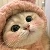 mimijimin72