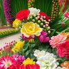 anwar.mehamed10