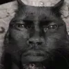 mr.piggy79