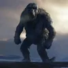 mountainrunner22