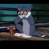 tomjerry0144