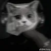 ptchngime_