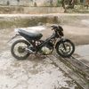 denzz11.1