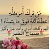user88991122334455667