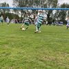 tiernan_ward10