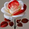 shahadathosen6963