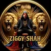 ziggy.shah2