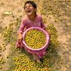 mohammad.shihab32