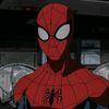 ❤️‍🔥SPIDER ❤️‍🔥