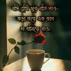 somratrahman231