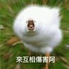 user2200530977424