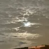 raezaha331