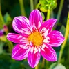 xxruby_36xx
