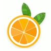 orange.studio.os1